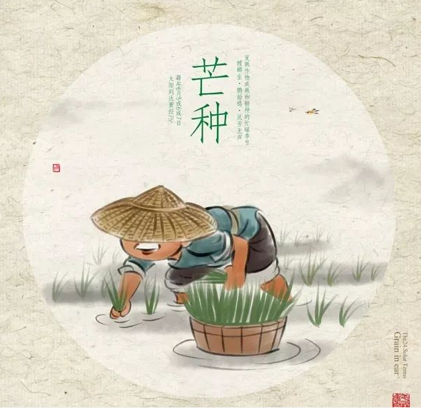 芒种时节，习俗不“盲”-普乐斯等离子清洗机